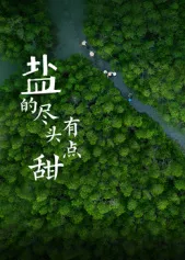 探索风味——《盐的尽头有点甜》